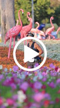 BIB:  <button type="button" onclick="openModal(27588709)" class="btn btn-primary btn-sm float-right" data-toggle="modal" data-target=".modal-high-quality">
                <i class="fa fa-download"></i> Download
                </button>